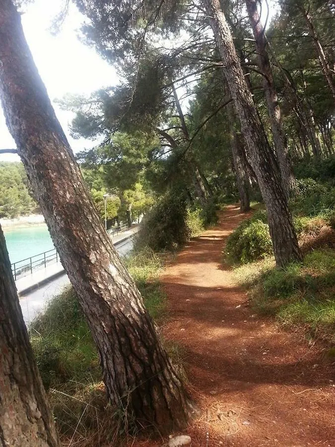 Vintage Villa Magnolia Pula Croatia
